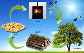 Energija iz biomase – E-ENERGIA.SK
